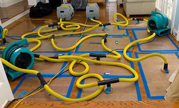 Professional Sewage Cleanup technician working in Greenville, TX